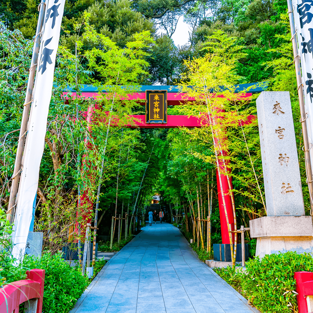 熱海温泉-來宮神社4