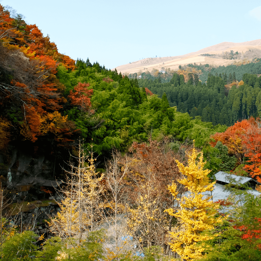 黒川温泉-おすすめのシーズン