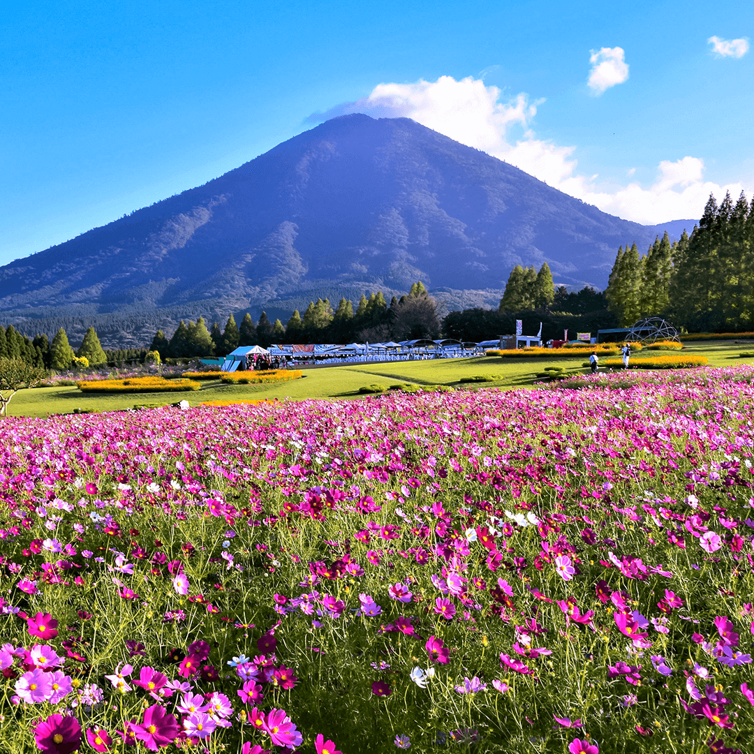 宮崎_生駒高原1