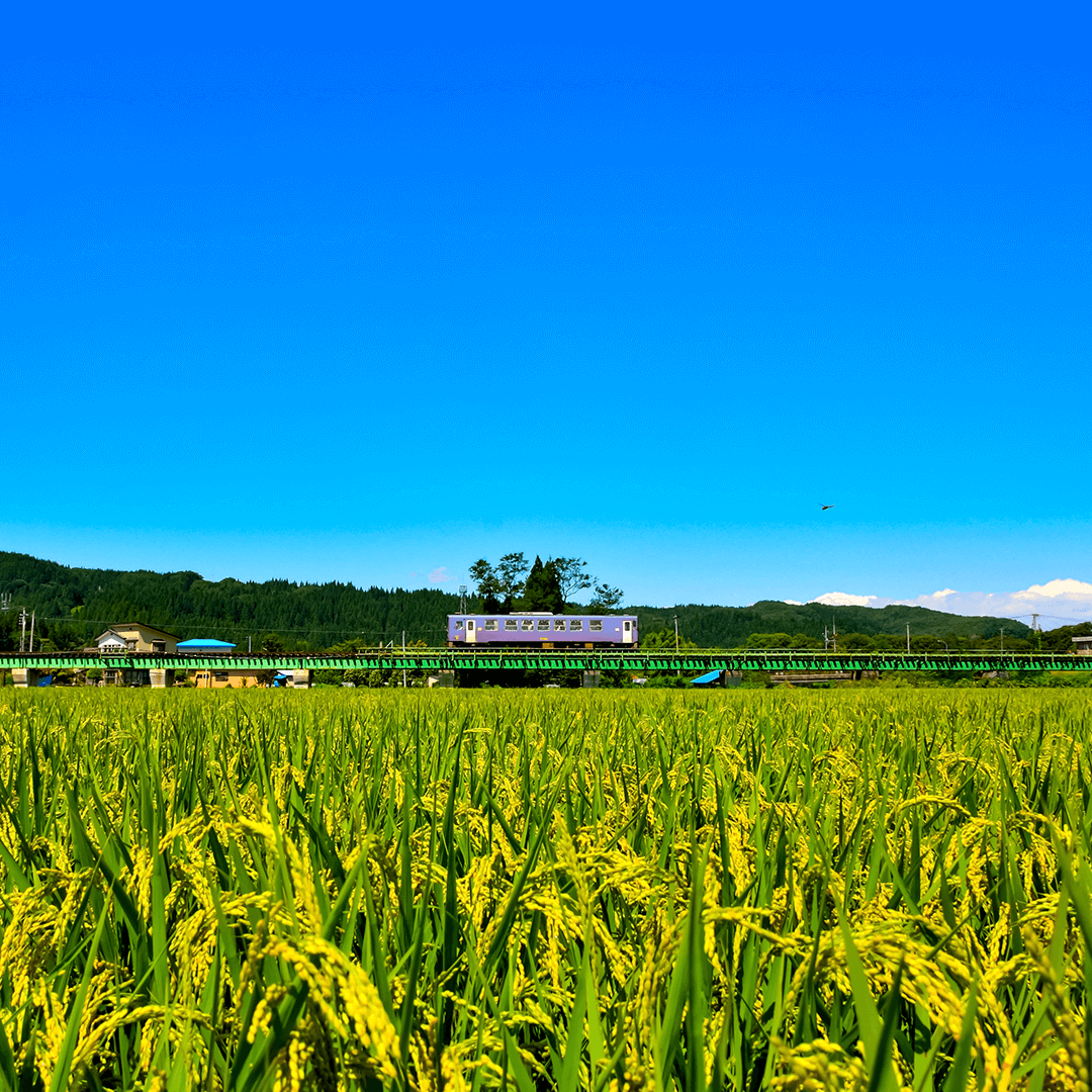 秋田_内陸縦貫鉄道1