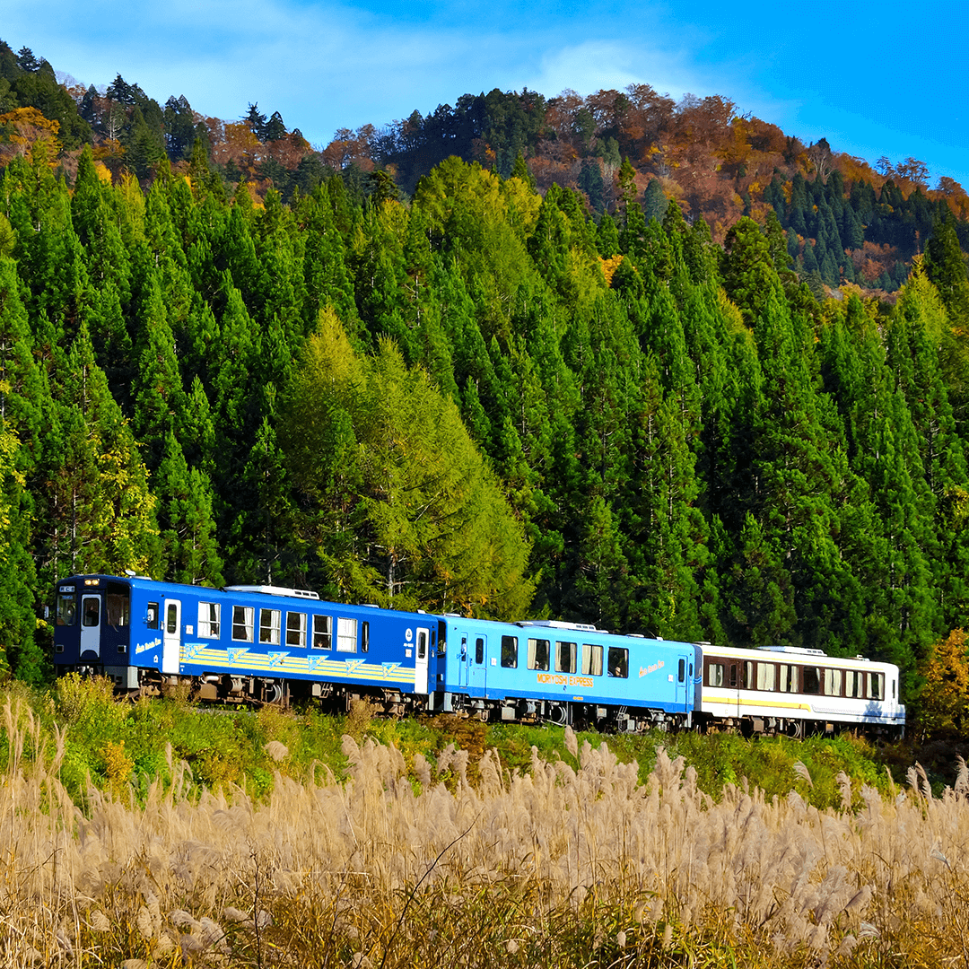 秋田_内陸縦貫鉄道14