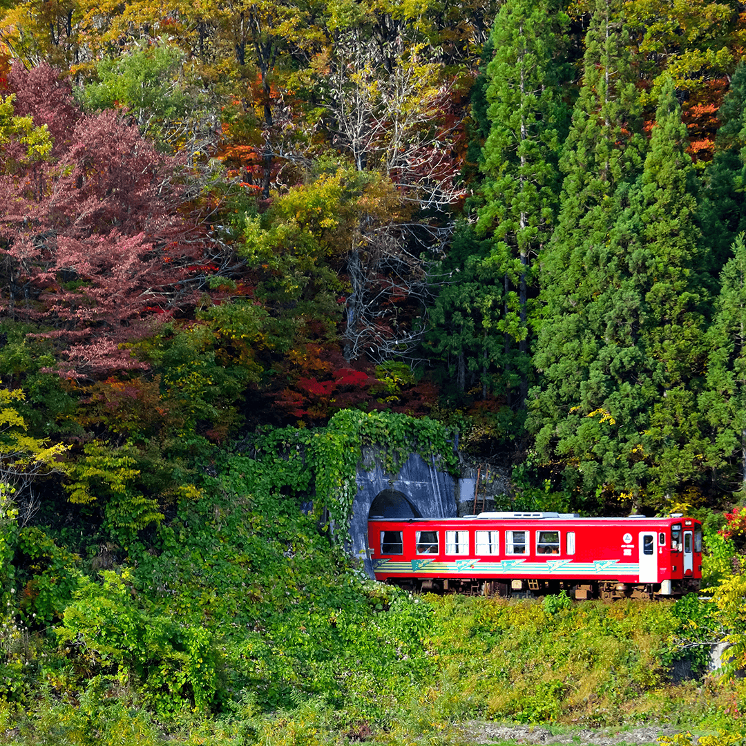 秋田_内陸縦貫鉄道18