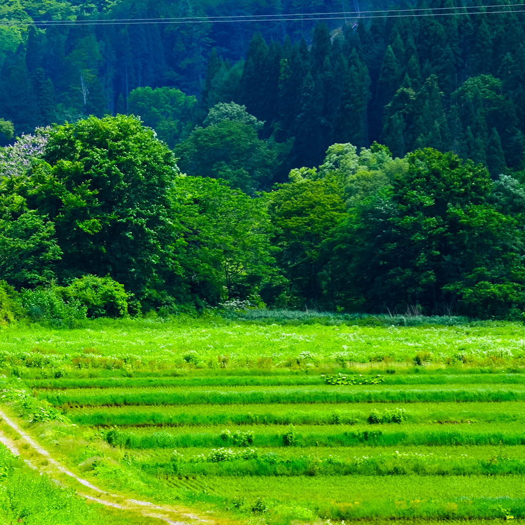 秋田_内陸縦貫鉄道2