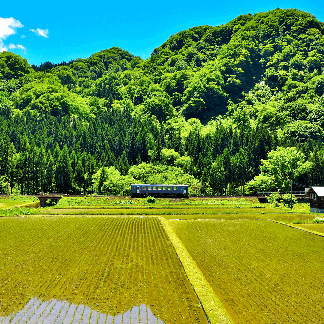 秋田_内陸縦貫鉄道4