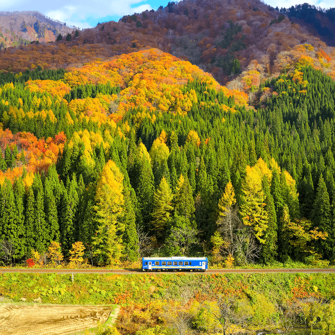 秋田_内陸縦貫鉄道9