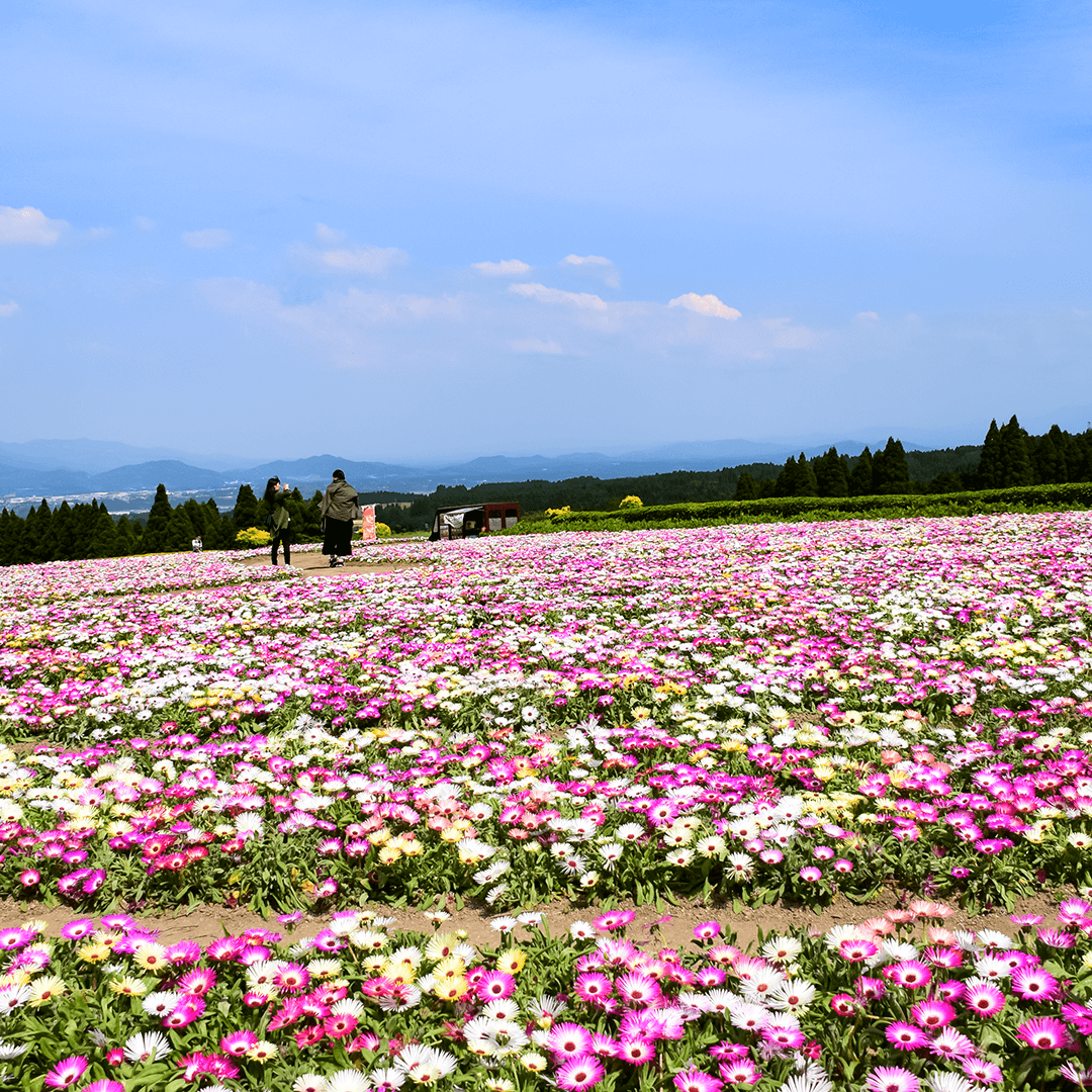 宮崎_生駒高原13