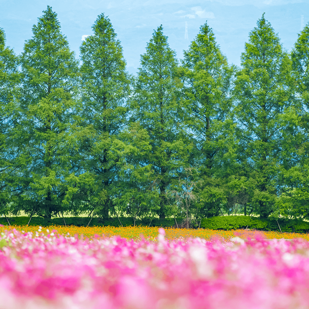 宮崎_生駒高原9