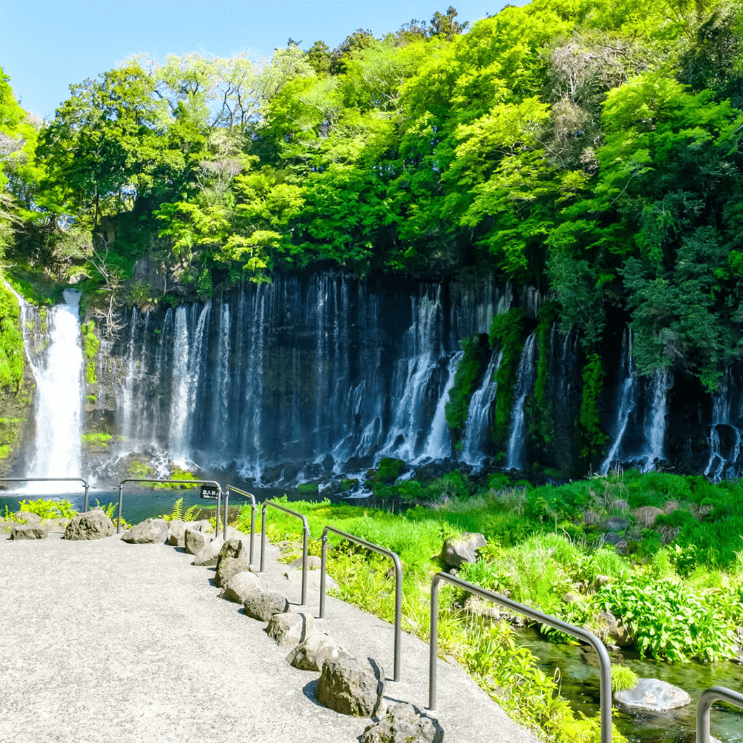 静岡_白糸の滝9