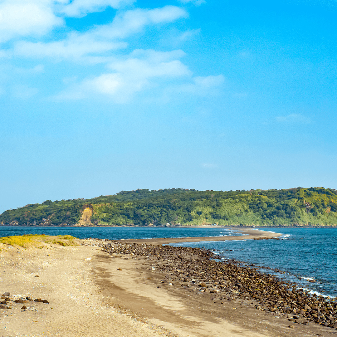 鹿児島_知林ヶ島4