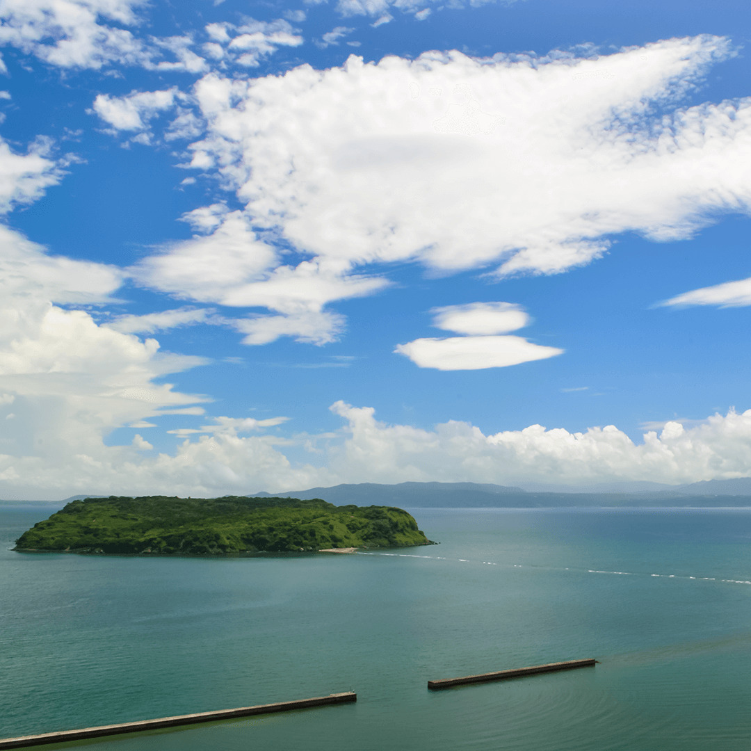 鹿児島_知林ヶ島7